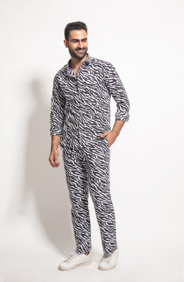 The Man Zebra Coordinate Set