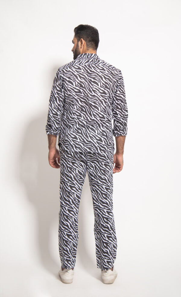 The Man Zebra Coordinate Set