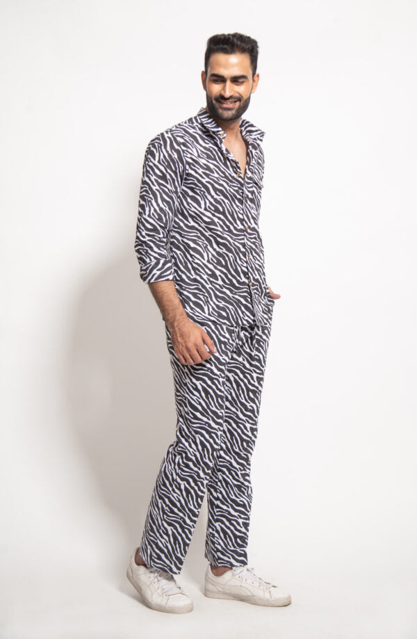 The Man Zebra Coordinate Set